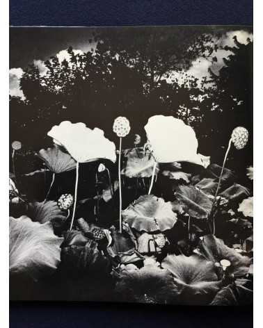 Gasho Yamamura - Plants - 1976