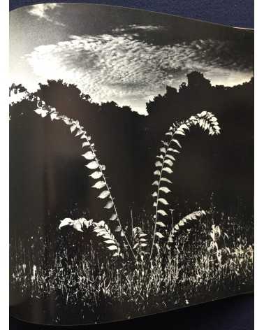 Gasho Yamamura - Plants - 1976