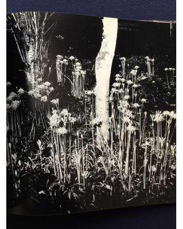 Gasho Yamamura - Plants - 1976