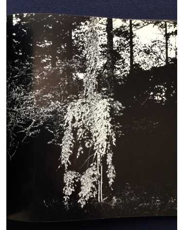 Gasho Yamamura - Plants - 1976