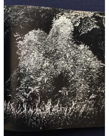 Gasho Yamamura - Plants - 1976