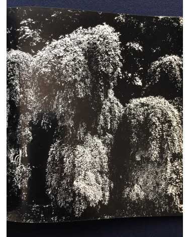 Gasho Yamamura - Plants - 1976