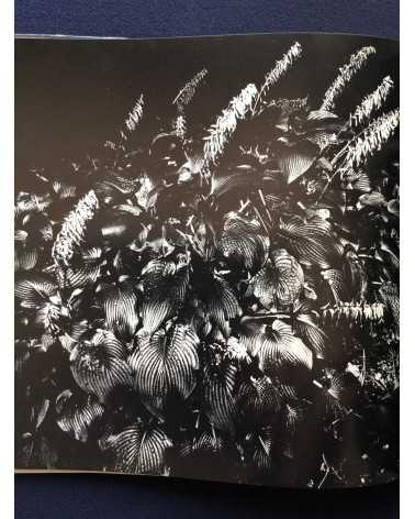 Gasho Yamamura - Plants - 1976