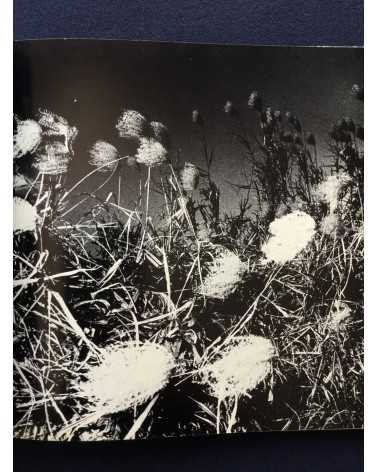 Gasho Yamamura - Plants - 1976