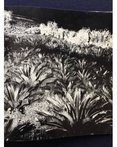 Gasho Yamamura - Plants - 1976