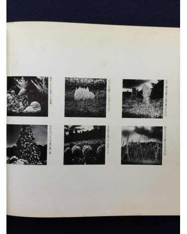 Gasho Yamamura - Plants - 1976