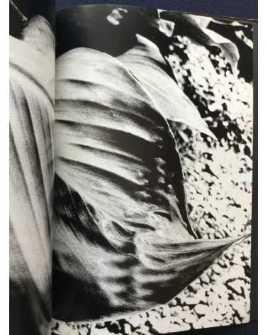 Daido Moriyama - Light and Shadow - 1982
