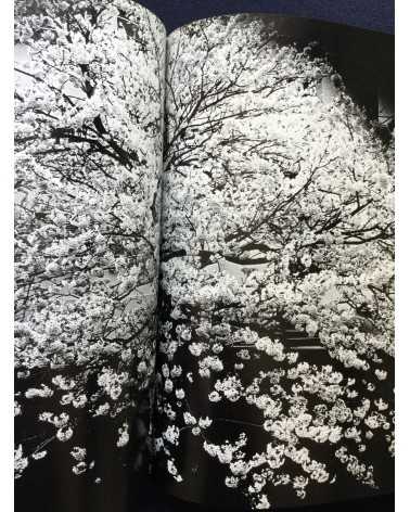 Daido Moriyama - Light and Shadow - 1982