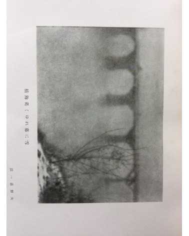 The Tokyo Photographic Research Society - No.16 - 1925