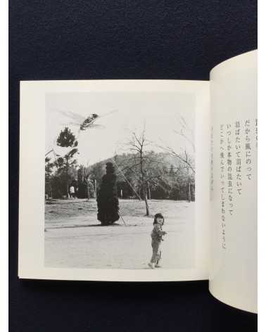 Hideo Shibata - Pictures and Poetry - 2009
