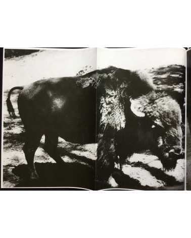 Daido Moriyama - Menu (Extra) - 2012