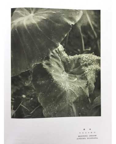 The Annual of Japan Photographic Art 1935-1936 - 1935