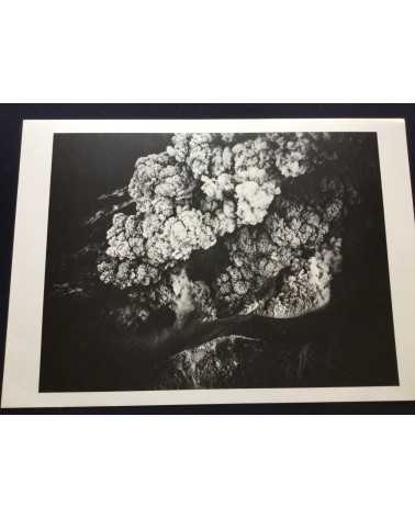 Eikoh Hosoe, Kishin Shinoyama, Ikko Narahara... - Lot 8 Portfolio Chikuma Shobo (complete