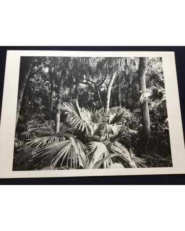 Eikoh Hosoe, Kishin Shinoyama, Ikko Narahara... - Lot 8 Portfolio Chikuma Shobo (complete