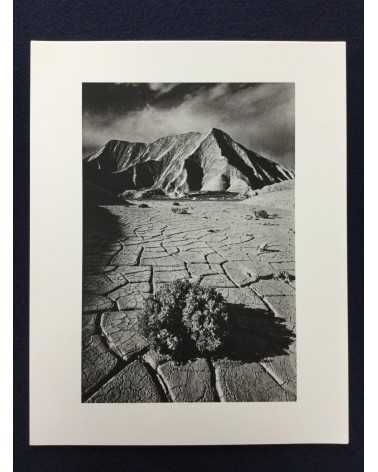 Jeanloup Sieff - Paysages - 1988