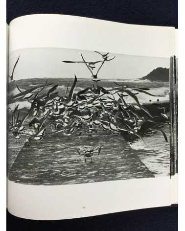 Masahisa Fukase - Ravens - 1986