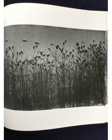 Masahisa Fukase - Ravens - 1986