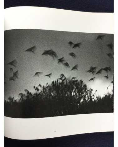 Masahisa Fukase - Ravens - 1986