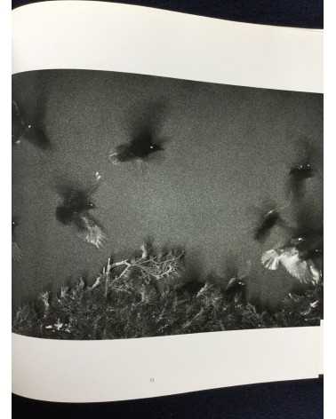 Masahisa Fukase - Ravens - 1986