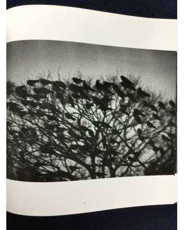 Masahisa Fukase - Ravens - 1986