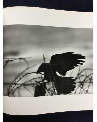 Masahisa Fukase - Ravens - 1986