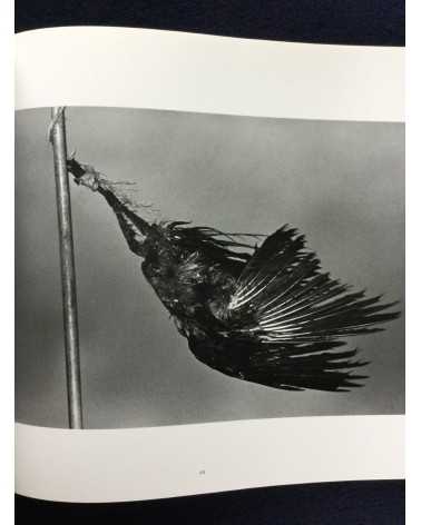 Masahisa Fukase - Ravens - 1986