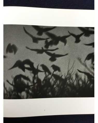 Masahisa Fukase - Ravens - 1986