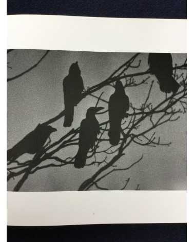 Masahisa Fukase - Ravens - 1986