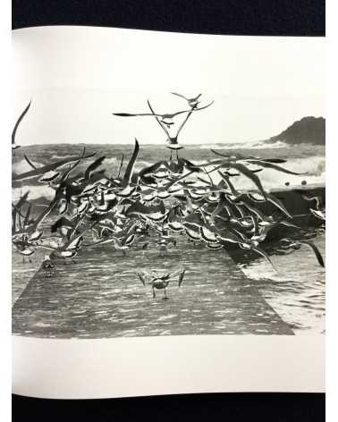 Masahisa Fukase - Ravens - 2017