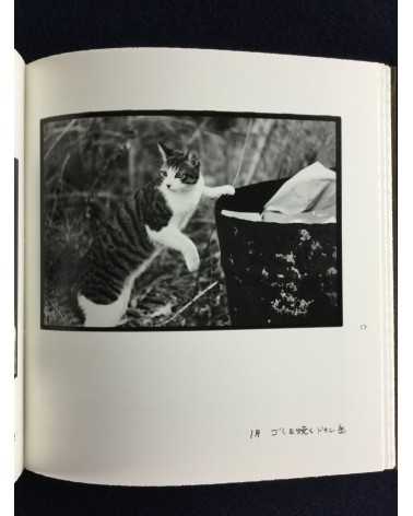 Masahisa Fukase - Afterword - 2016