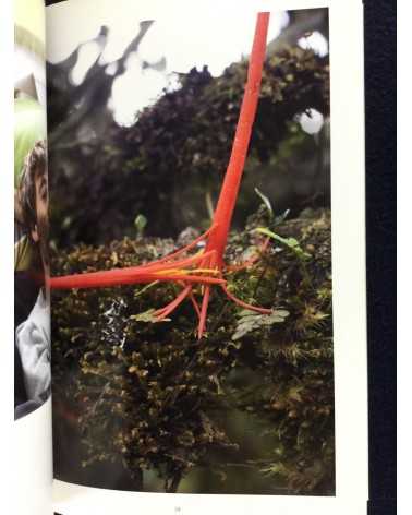 Wolfgang Tillmans - Wako Book 5 - 2014