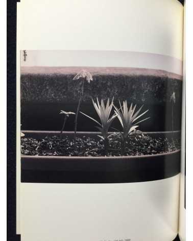 Wolfgang Tillmans - Wako Book 2 - 2001