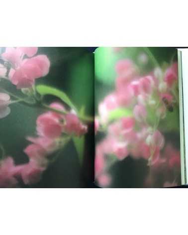 Shimpei Asai - Water Hyacinth - 1984