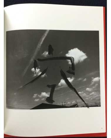 Nobuyoshi Araki - Koshoku Painting - 2008