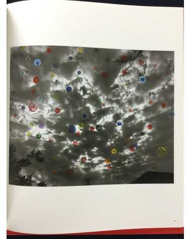 Nobuyoshi Araki - Koshoku Painting - 2008