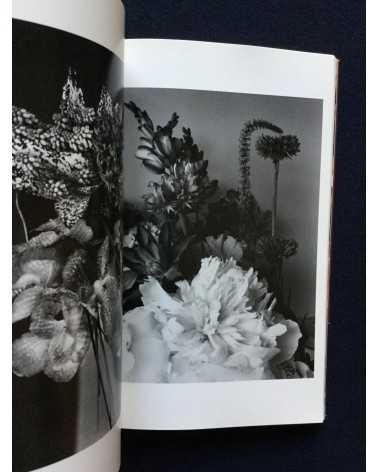 Nobuyoshi Araki - The Works of Nobuyoshi Araki (Complete Collection) - 1996