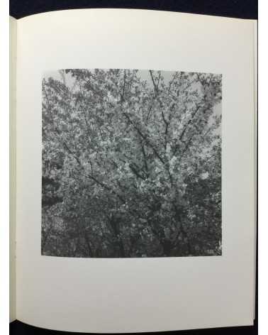 Kiyoshi Tatsukawa - Photographs 1985 Spring - 1987