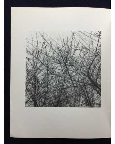 Kiyoshi Tatsukawa - Photographs 1985 Spring - 1987