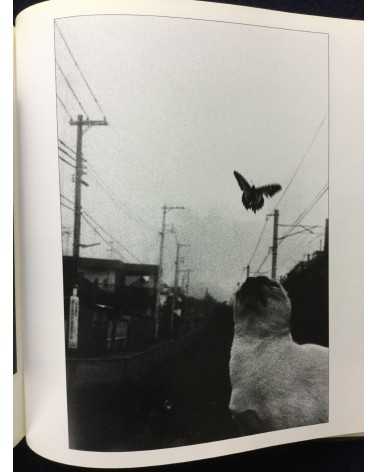 Haruo Yamashita - Haruo Yamashita's Photography - 1994