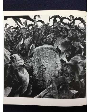 Osamu Murai - Remembrances in Stone - 1989