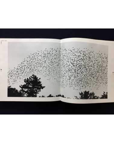 Circle U - Photographs 1975, Vol.1 - 1975