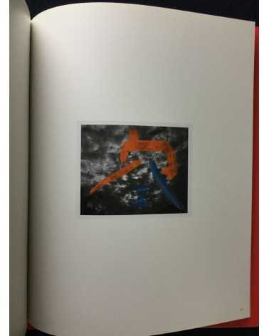 Nobuyoshi Araki - Koshoku Painting - 2008