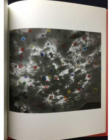 Nobuyoshi Araki - Koshoku Painting - 2008