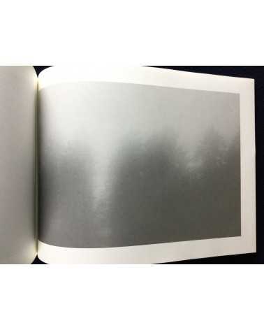 Toshiya Kobayashi - Landscape in the Mist - 2004