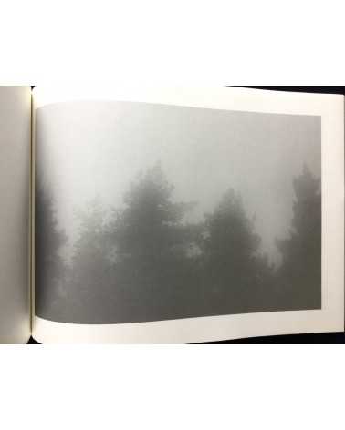 Toshiya Kobayashi - Landscape in the Mist - 2004