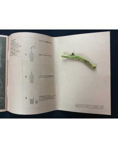 Morelenbaum² / Sakamoto - Brazil box for Casa - 2001