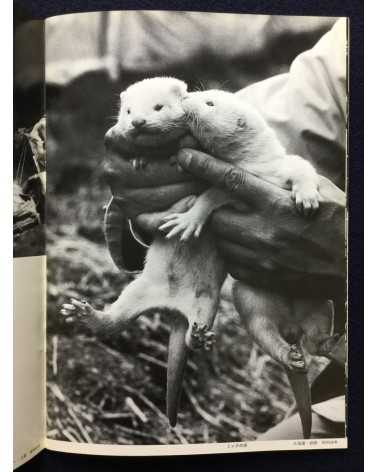 Taro Michimasa - Children and Animals - 1994