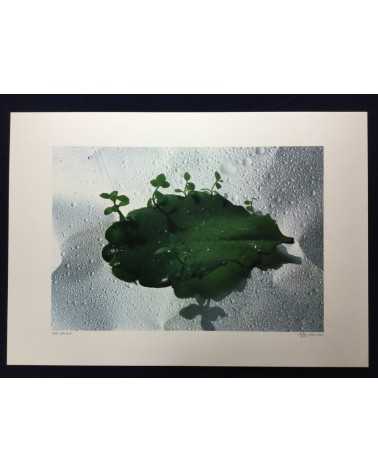 Masaaki Nishimiya - Still Life