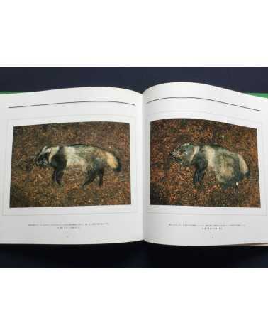 Manabu Miyazaki - Death in Nature - 1994