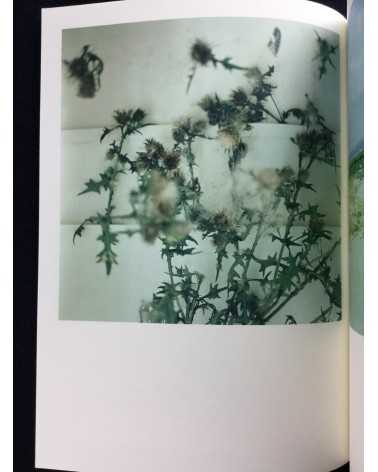 Shaba shaba - No.2 - 2003